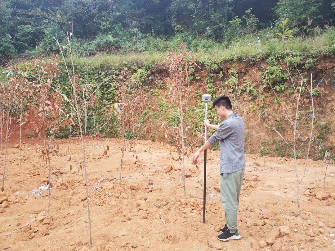 土地规划部项目纪实丨龙8头号玩家人，助力荒地变桑田！