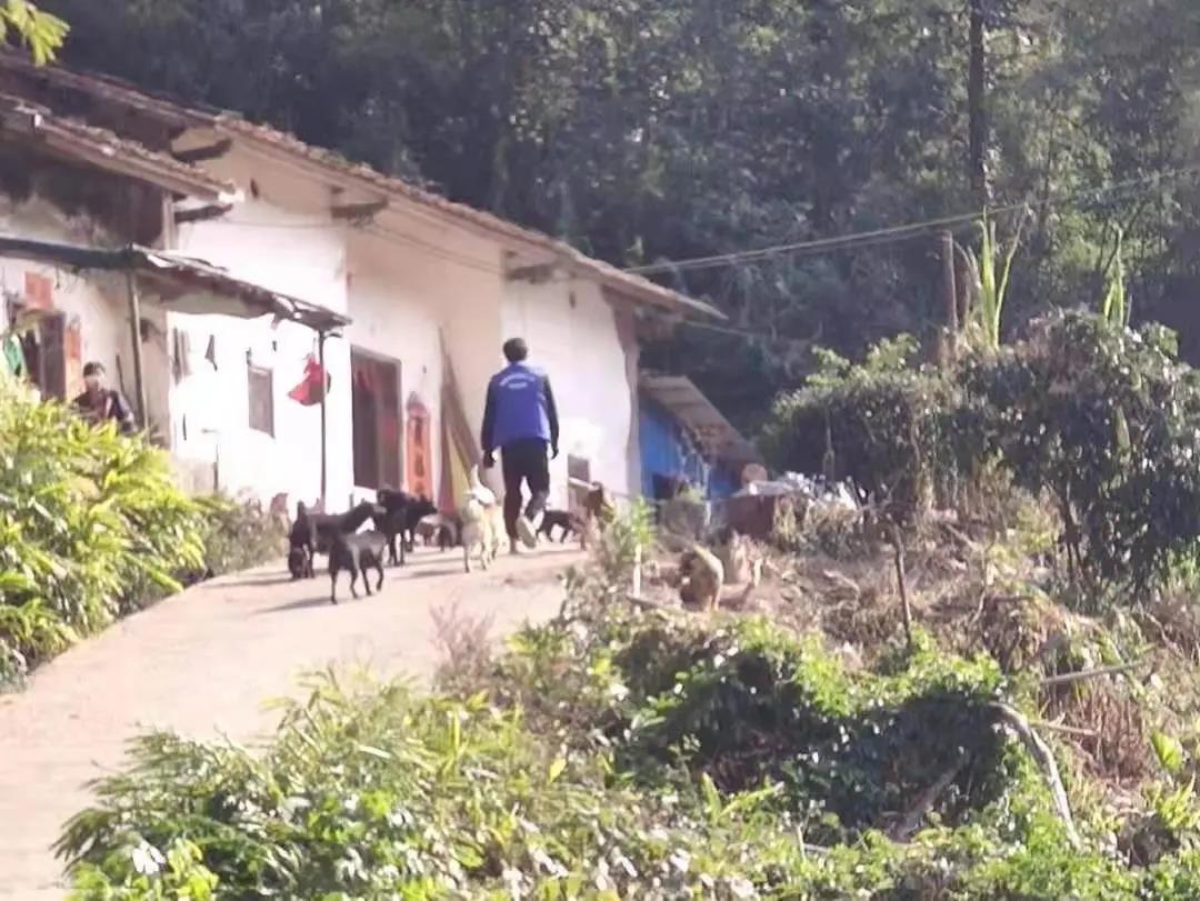 阳春房地一体项目纪实丨无悔青春多砥砺，最是奋斗动人心