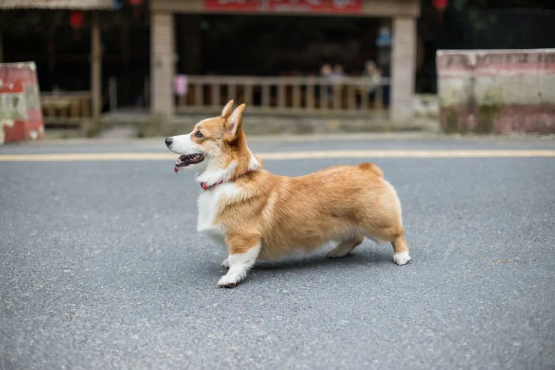 再见，我的老朋友