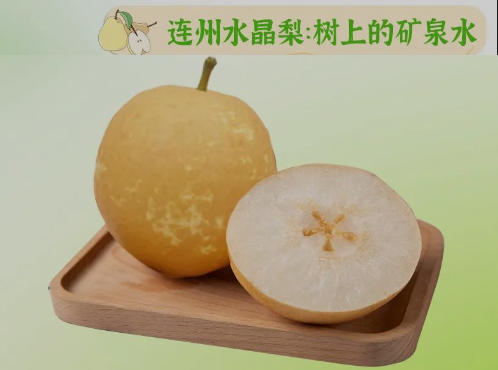 “桃李”酷暑，清凉一夏