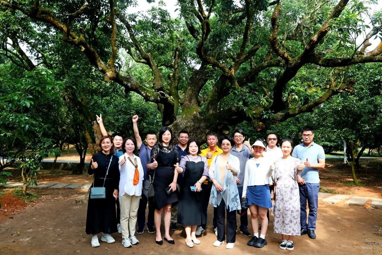 龙8头号玩家集团作为省国土空间生态修复协会轮值会长带队调研粤西全域土地综合整治工作
