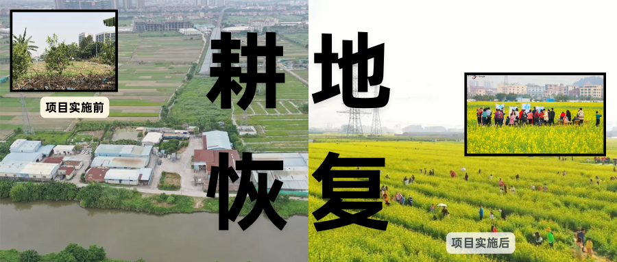 耕地；び刖梅⒄构踩凇甘泻窠终蛩谏缜读继锵钅扛鼗指从氤窍缛诤系拇葱率导