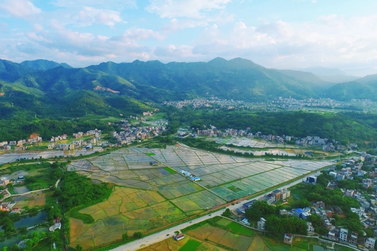 龙8头号玩家集团丨“百千万工程”显实效：云浮罗定泗纶镇以全域土地综合整治为抓手，绘就乡村振兴新画卷
